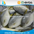 Pompano de oro chino al por mayor congelados sabrosos congelados Golden Pompano